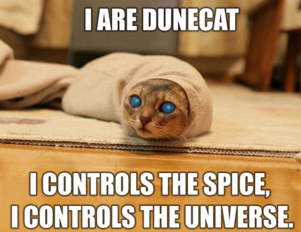 I Are Dune Cat - I Controls Teh Spice, I Controls Teh Universe