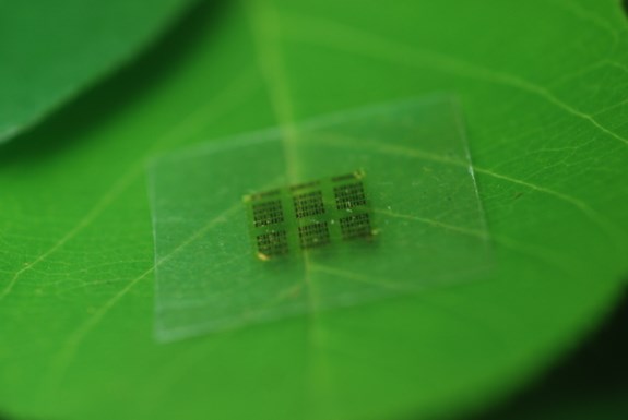 cellulose nanofibril chip