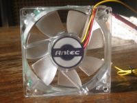 Front of the fan