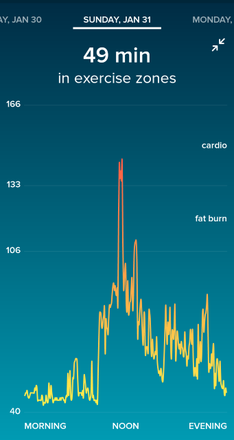 Fitbit app heart rate detail